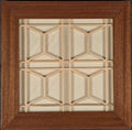 Tortoise Shell - (Fancy)